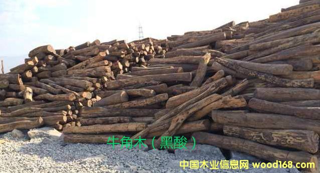 ţ��ľ��Ԕ����B