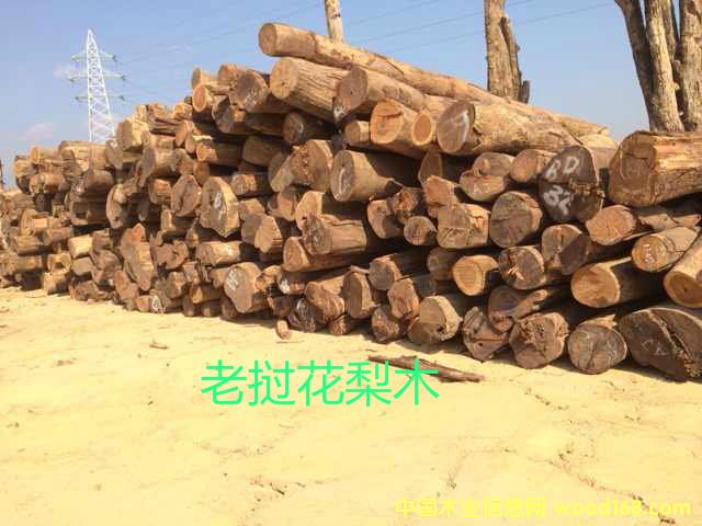 �ϓ뻨��ľ��Ԕ����B