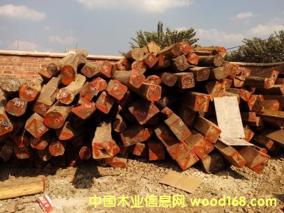 �������֦��Ԕ����B