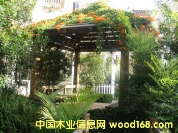 ����ľ��ͤ