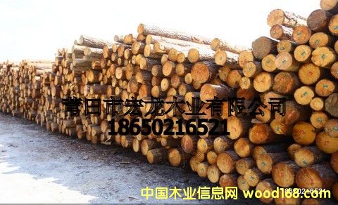 ������ľ��Ԕ����B