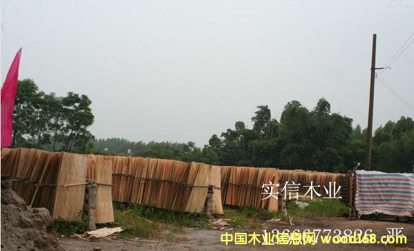 ��ľ���Іΰ��Ԕ����B