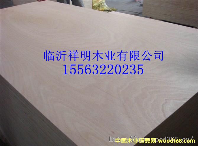 �z�ϰ�18����b���бP���Ԕ����B