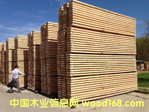 25MM���COL�� �ؼ� A��ݗ���ɺ�ɰ��