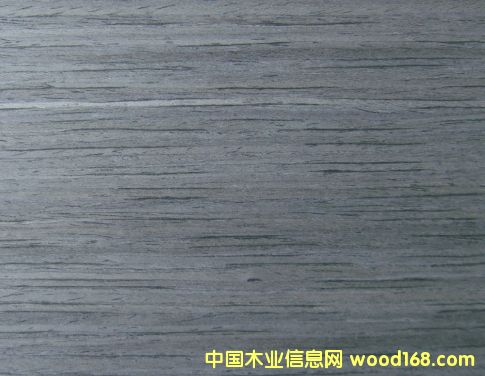 �ŵ���ľ019��Ԕ����B