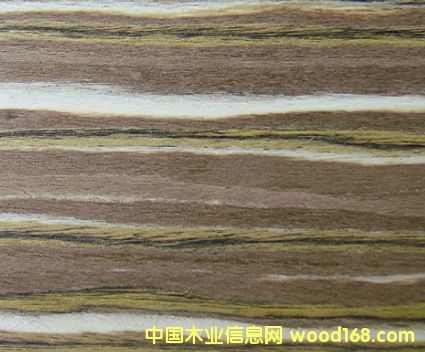 ��Դ�Ƽ�ľƤ��Ԕ����B