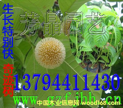 �c(di��n)���鿴�F(tu��n)������ �S��ľ�� ���E����Ŵ�DƬ