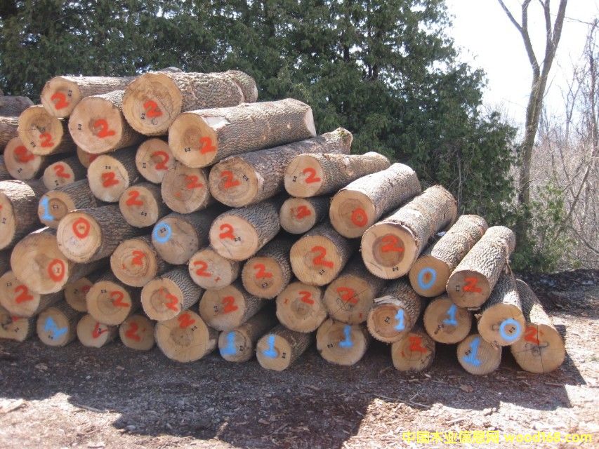 ������Ϟľԭľ��Ԕ����B