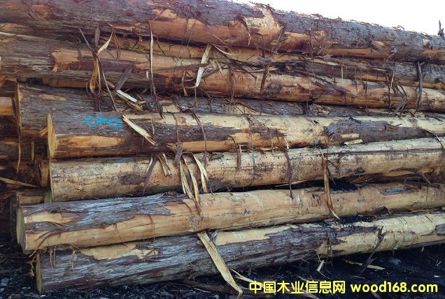 ����˹���S�u