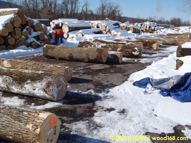 �����M�ڰ�Ϟ