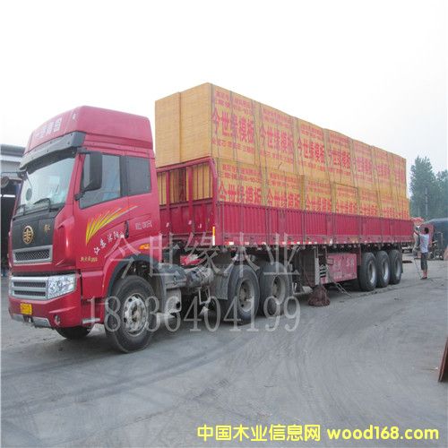 ��ľ����ģ���Ԕ����B