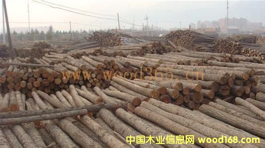 ���~��ԭľ��Ԕ����B