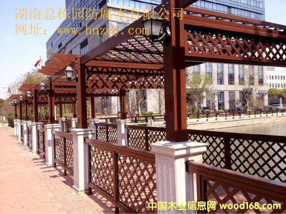 ����ľ����