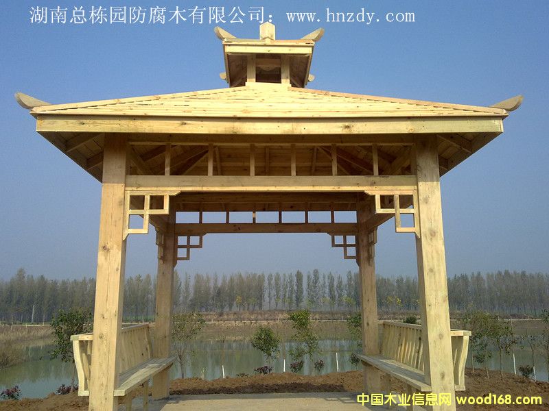 ���Ϸ���ľͤ��