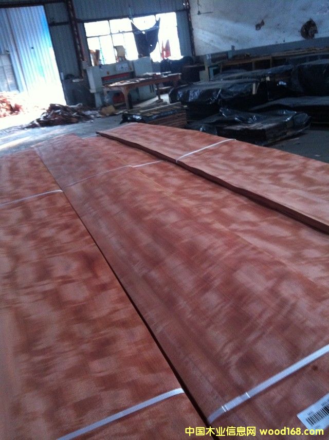 ������Ӱ ��(qi��ng)Ӱ �b�ľƤ��Ԕ��(x��)��B