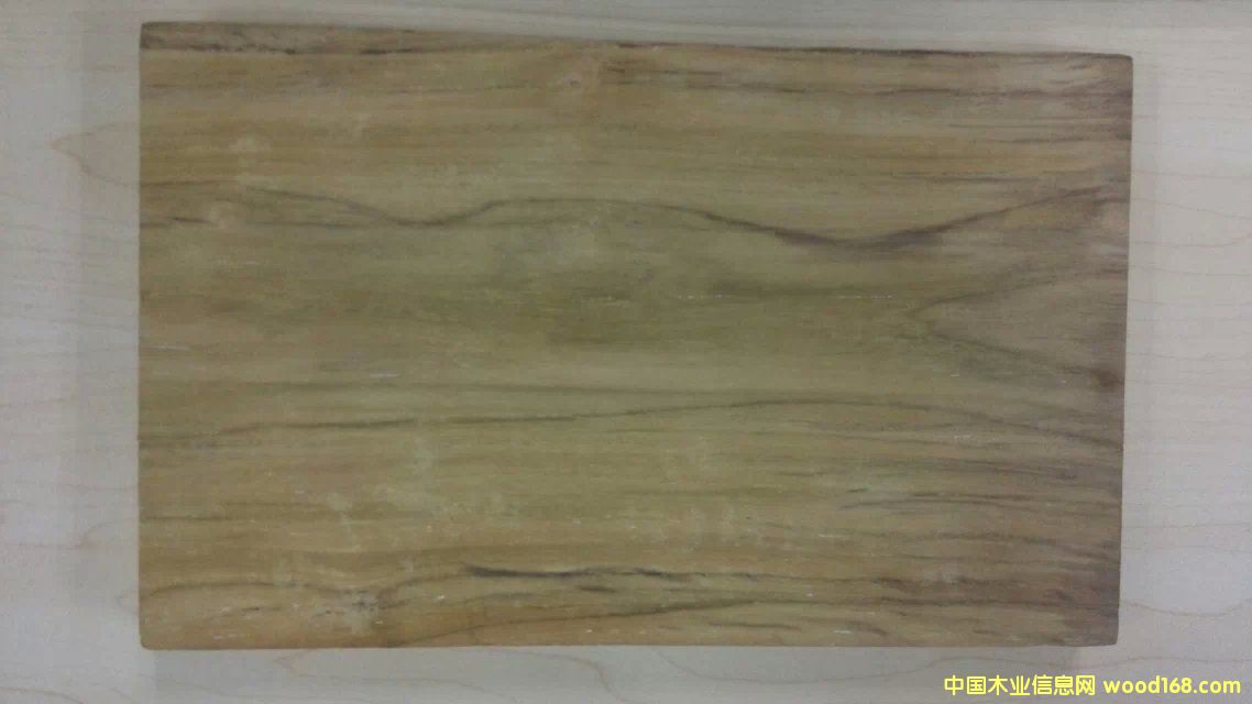 �_���߶���ľ