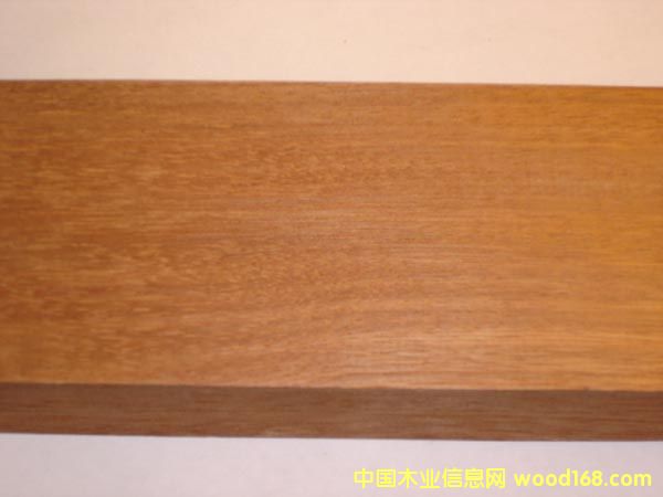 �c���鿴��ľ��B ��ľ���⽨���ĵ�Ԕ���Y��