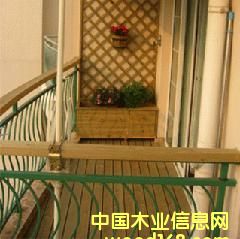 �c���鿴�y��ľ��Ԕ���Y��