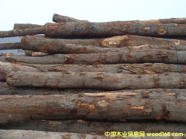 �W�ް����Ԕ��(x��)��B