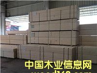 ��Ѭ���ĵ�Ԕ����B