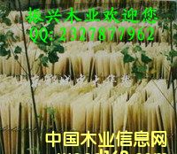 ��ľо���Ԕ����B