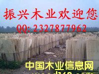 ��ľо���Ԕ����B