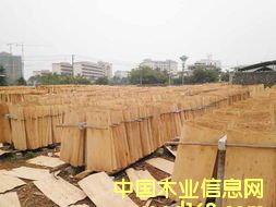 ��ľ�Aо��Ԕ����B