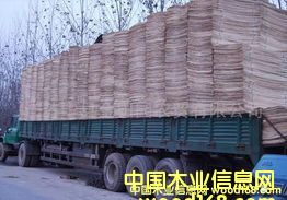 ��ľ�Aо��Ԕ����B