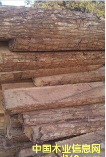 ���޻��� ����������̴�� Īɣ�ȿ˵�Ԕ����B