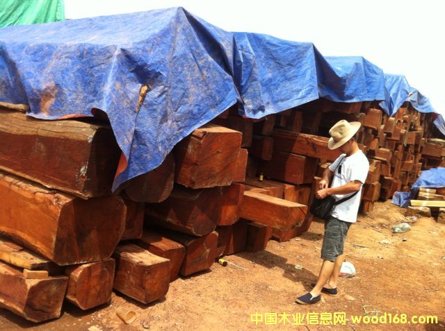 ԭ�a���ϓ뻨��ֱ�N��Ԕ����B