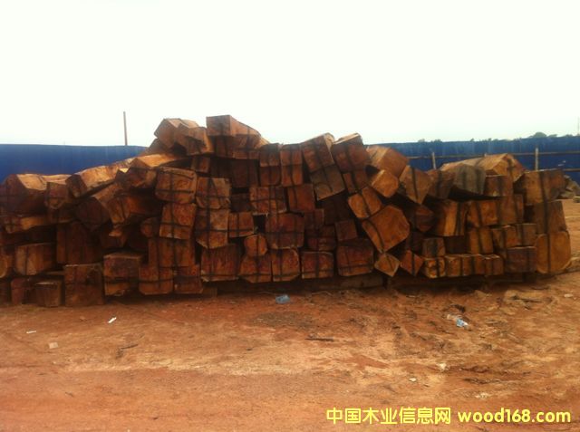 �a��ֱ�N�ϓ뻨���Ԕ����B