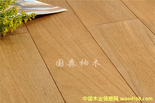 �V�݇�ɭ��ľ�ذ��Ԕ����B