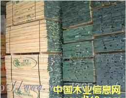 �c���鿴��������ľ�Ŵ�DƬ