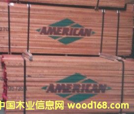 �c(di��n)���鿴���ҷŴ�DƬ