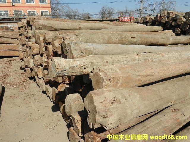 ��ľ��Ԕ����B