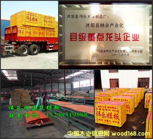 �c���鿴��ľ��ľ����ģ��Ŵ�DƬ