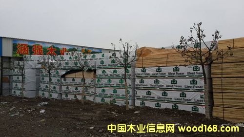 ����SPF-��˹����Ԕ����B