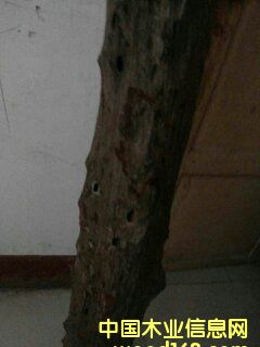 �c(di��n)���鿴С�~��̴�Ŵ�DƬ