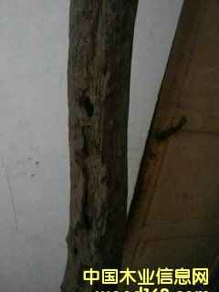 С�~��̴��������