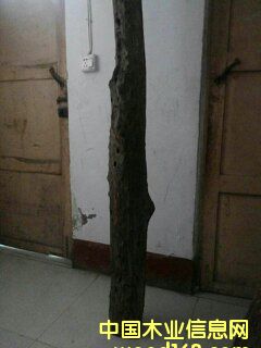 �c(di��n)���鿴С�~��̴�Ŵ�DƬ