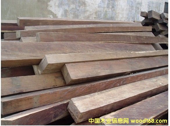 �炐�ȁ��t̴���Ԕ��(x��)��B