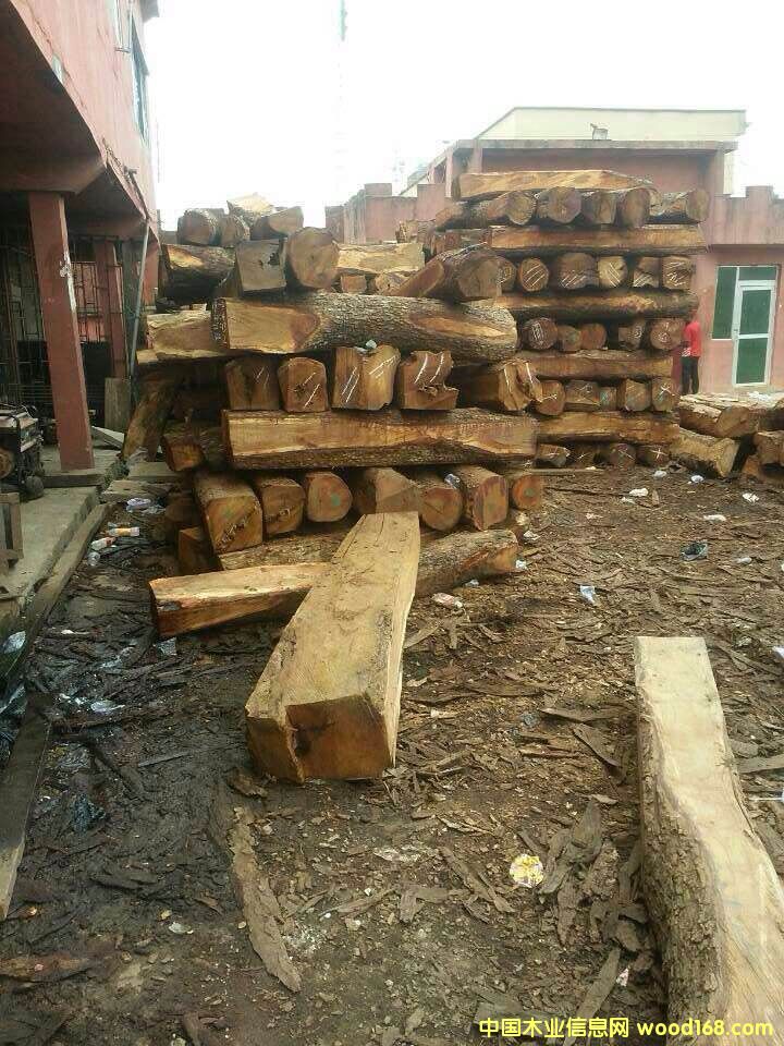 �����S����ԭľ��Ԕ����B