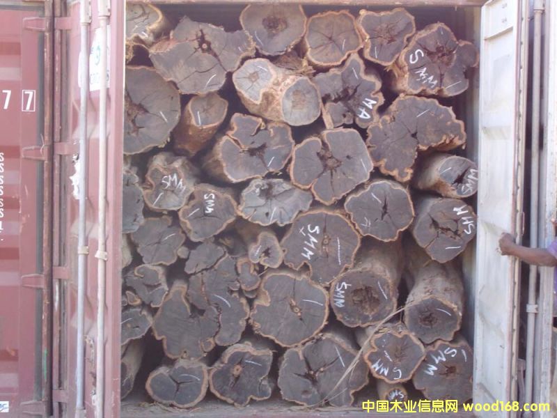 Īٝ�ȿ��Ϲ�̴