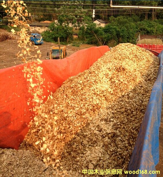 ���(sh��)ȥƤľƬ