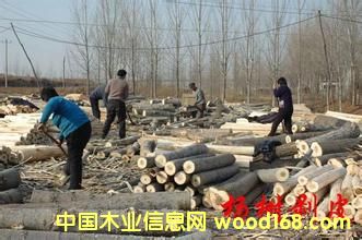 ��ľ�ΰ��Ԕ����B