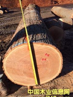 �t���Ԕ����B