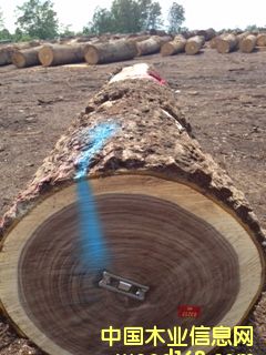 �ں��ҵ�Ԕ����B