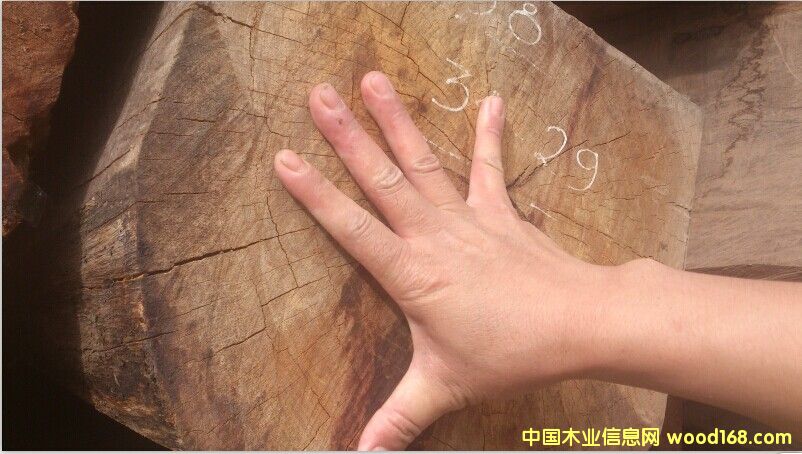 ���黨���Ԕ����B