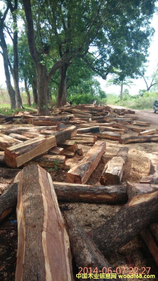 ���ށ������Ԕ����B