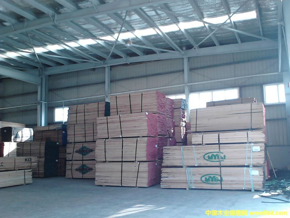 �c���鿴�t��ľ�Ŵ�DƬ